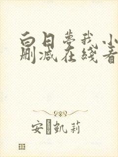 白日梦我小说未删减在线看封面