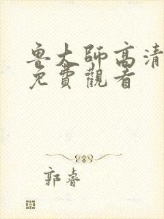 鲁大师高清国语免费观看