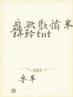 瘾欲欢愉半块小饼干tnt