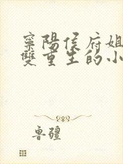 宁阳侯府姐妹双双重生的小说