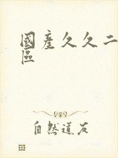 国产久久二区三区