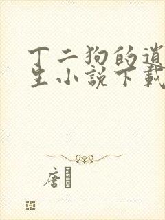 丁二狗的逍遥人生小说下载txt