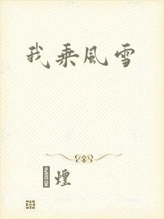我乘风雪封面