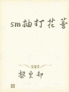 sm抽打花蒂
