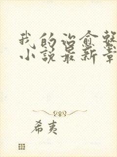 我的治愈系游戏小说最新章节