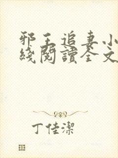 邪王追妻小说在线阅读全文