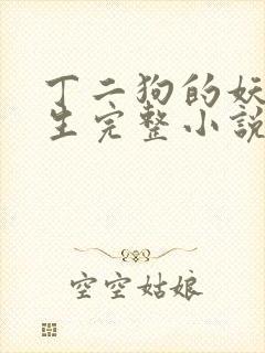 丁二狗的妖孽人生完整小说txt