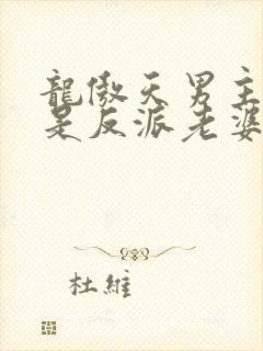 龙傲天男主就该是反派老婆