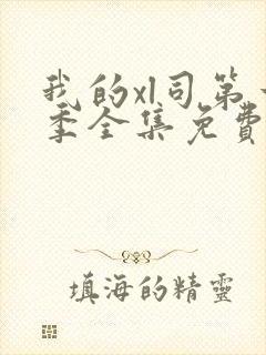 我的xl司第一季全集免费观看