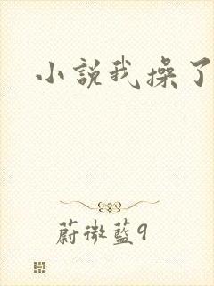 小说我操了岳母封面