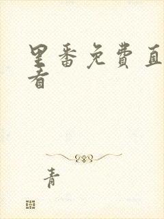 里番免费直接观看