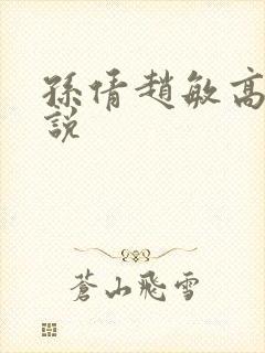 孙倩赵敏高义小说