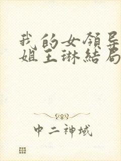 我的女领导们陈姐王琳结局