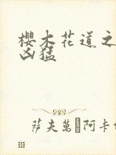 樱木花道之重生凶猛