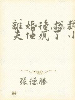 离婚后,总裁前夫他疯了 小说