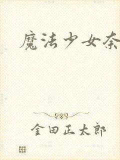 魔法少女奈叶2封面