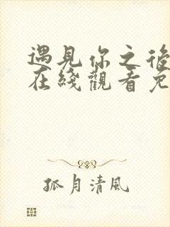 遇见你之后电影在线观看免费完整版高清封面