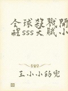 全球杀戮开局觉醒sss天赋小说