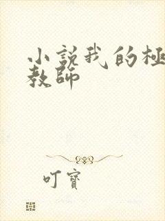 小说我的极品女教师