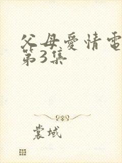 父母爱情电视剧第3集