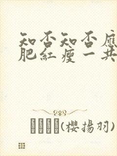 知否知否应是绿肥红瘦一共多少集