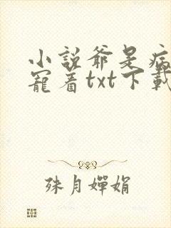 小说爷是病娇得宠着txt下载