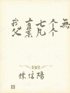 我有七个无敌师父叶凡个封面