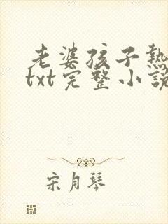 老婆孩子热炕头txt完整小说