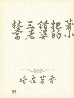 林三错把萧夫人当老婆的小说封面