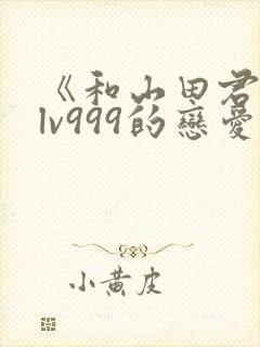 《和山田君进行lv999的恋爱》封面