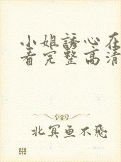 小姐诱心在线观看完整高清bd