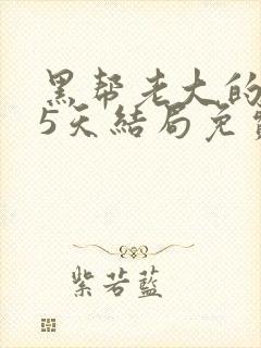 黑帮老大的365天结局免费观看全集2