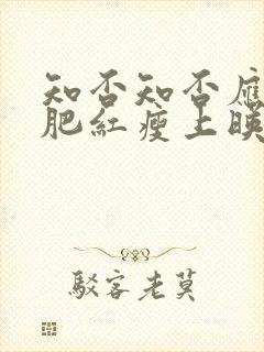 知否知否应是绿肥红瘦上映时间