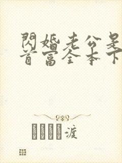 闪婚老公是千亿首富全本下载