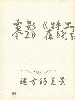 电影《特工追缉令2》在线观看