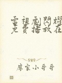 电视剧闪耀的她免费播放在线观看