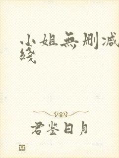 小姐无删减版在线