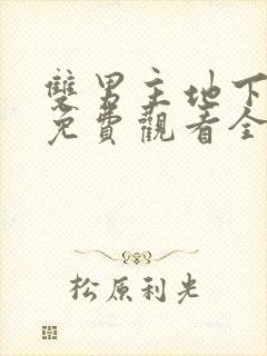 双男主地下偶像免费观看全集动漫