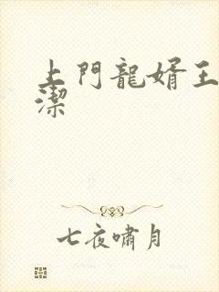 上门龙婿王浩李洁