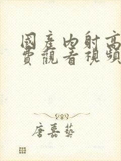 国产内射高清免费观看视频封面