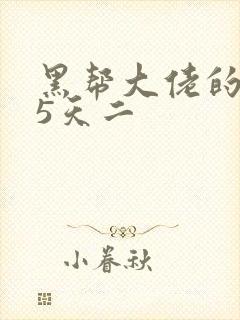 黑帮大佬的365天二