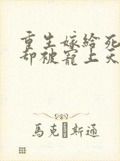 重生嫁给死对头却被宠上天短剧全集