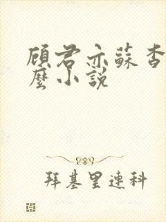 顾君亦苏杳是什么小说