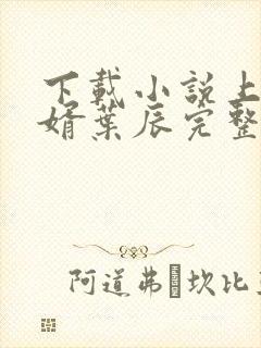 下载小说上门龙婿叶辰完整版免费阅读