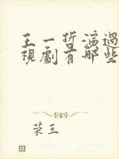 王一哲演过的电视剧有哪些