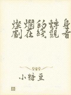 灿烂的转身电视剧在线观看高清完整免费