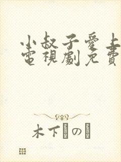 小叔子爱上嫂子电视剧免费观看完整