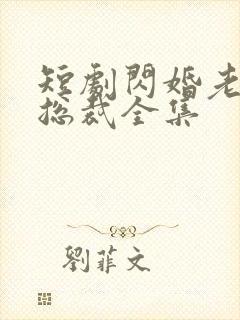 短剧闪婚老公是总裁全集