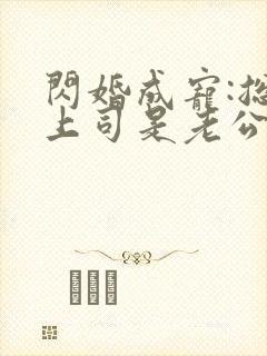 闪婚成宠:总裁上司是老公