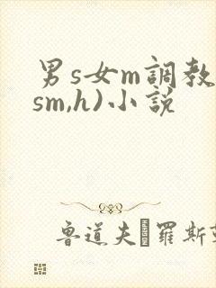 男s女m调教(sm,h)小说